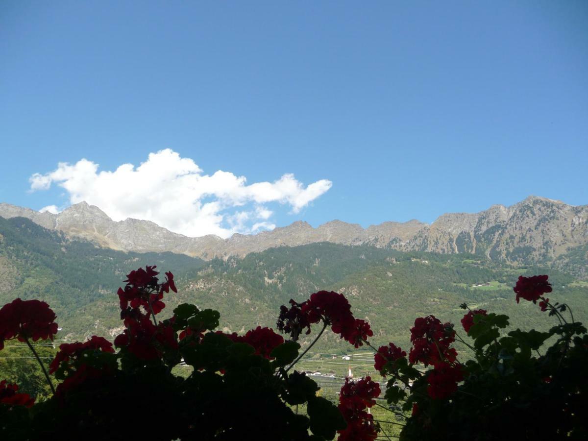 Ferienwohnungen Obermoarhof Lagundo Dış mekan fotoğraf